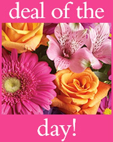 Deal of the Day